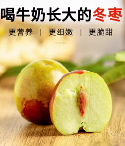 新疆库尔勒牛奶冬枣新鲜脆甜大果大荔枣子孕妇当季水果顺丰礼盒5