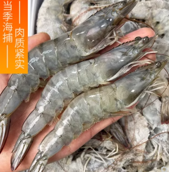 2030海水盐冻大虾鲜冻海虾海水对虾大虾3.3左右